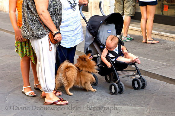 BowWow    Sienna 2012